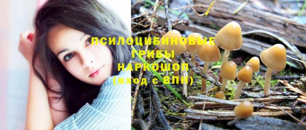 гашиш Арсеньев